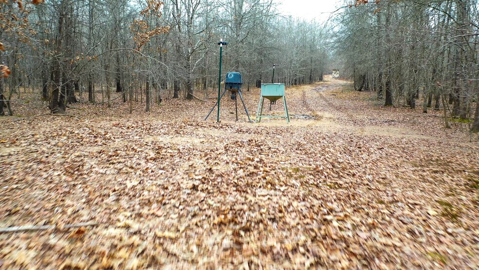 More Photos Of 1200 County 1255 rd, Detroit Land For Sale