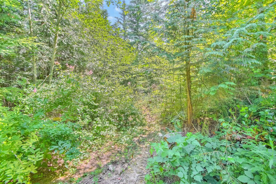 More Photos Of 32750 343rd Ave SE, Ravensdale Land For Sale