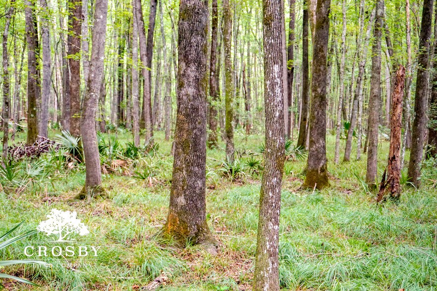 More Photos Of 3009 Lowcountry Drive, Ridgeland Land For Sale