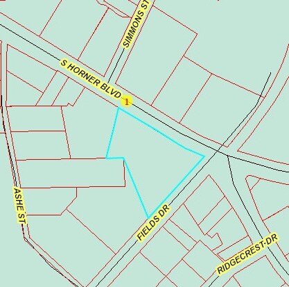 More Photos Of 722-730 S Horner Blvd, Sanford General Retail For Lease