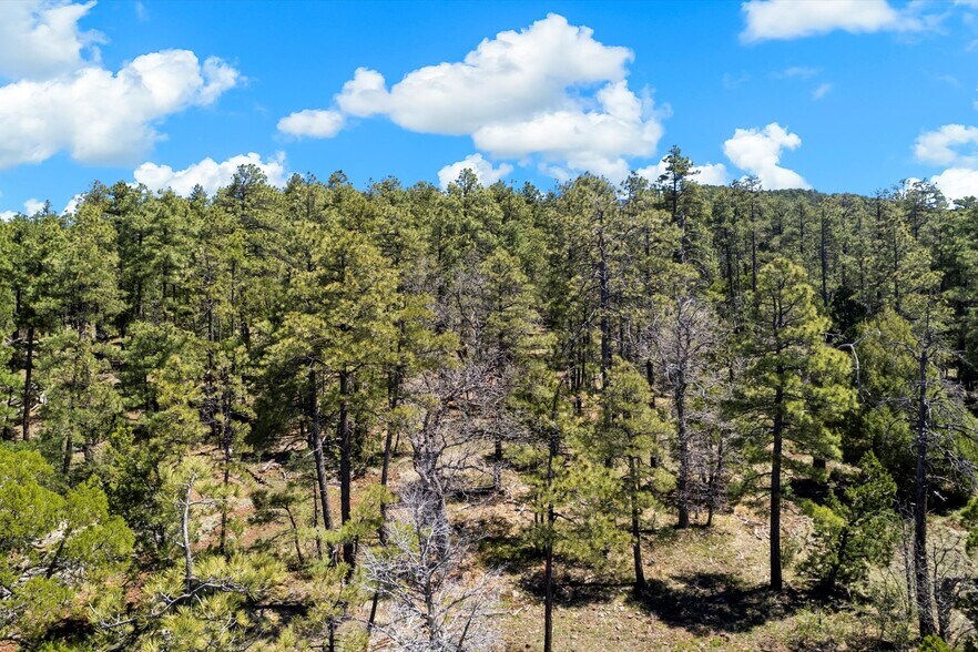More Photos Of 00 Ponderosa Dr, Flagstaff Land For Sale
