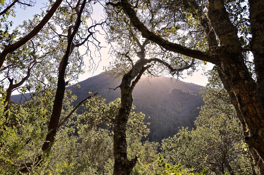 More Photos Of 128 Ridgecrest Road, Kentfield Land For Sale