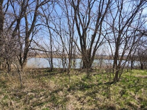 More Photos Of 0 Hanover, Carlock Land For Sale