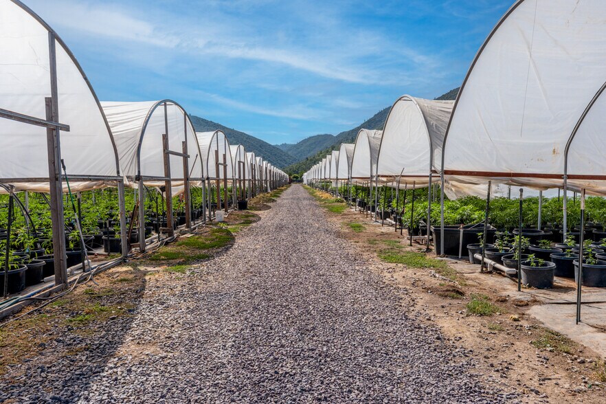 More Photos Of 2000 Clover Valley Rd, Upper Lake Land For Sale