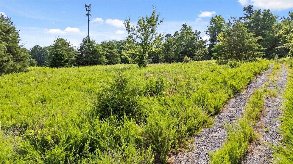 More Photos Of 8646 Hwy 58, Harrison Land For Sale