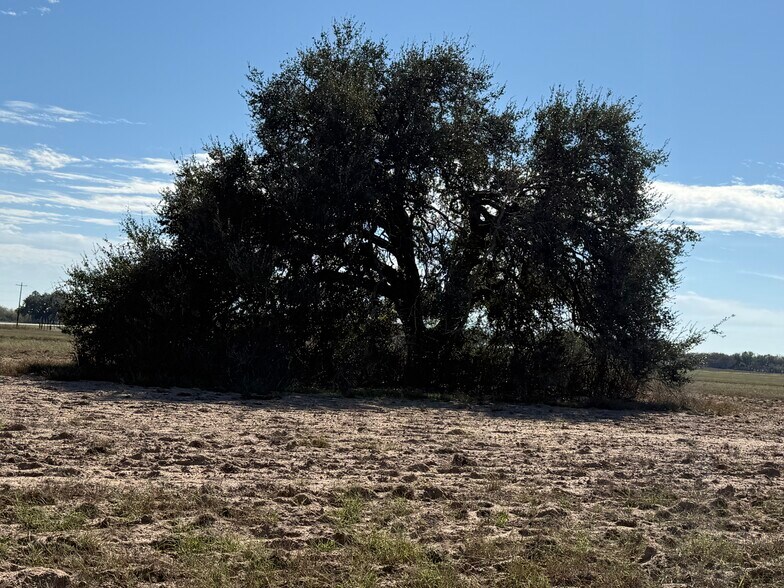 More Photos Of 223 County Road 236, Stockdale Land For Sale