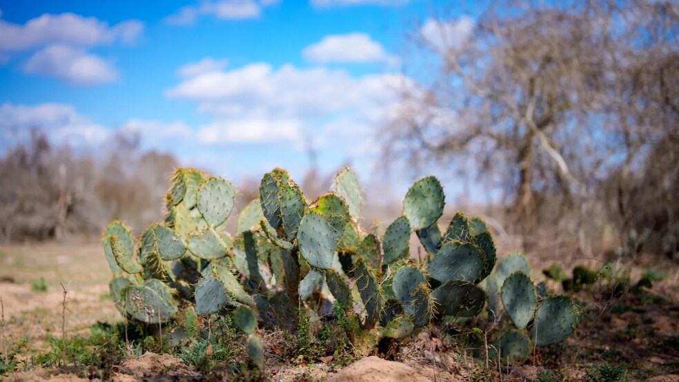 More Photos Of Texas 97, Cost Land For Sale