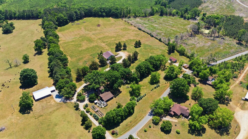 More Photos Of 1650 Dusty Rd, Newberry Winery Vineyard For Sale