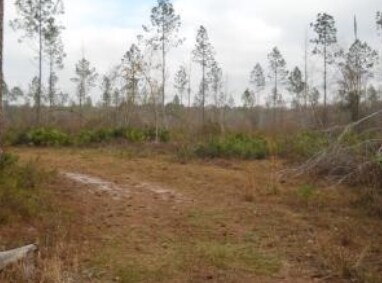 More Photos Of US-441 / I-10, Lake City Land For Sale