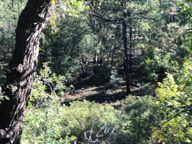 More Photos Of 300 E White Mountain Blvd, Pinetop Lakeside Apartments For Sale