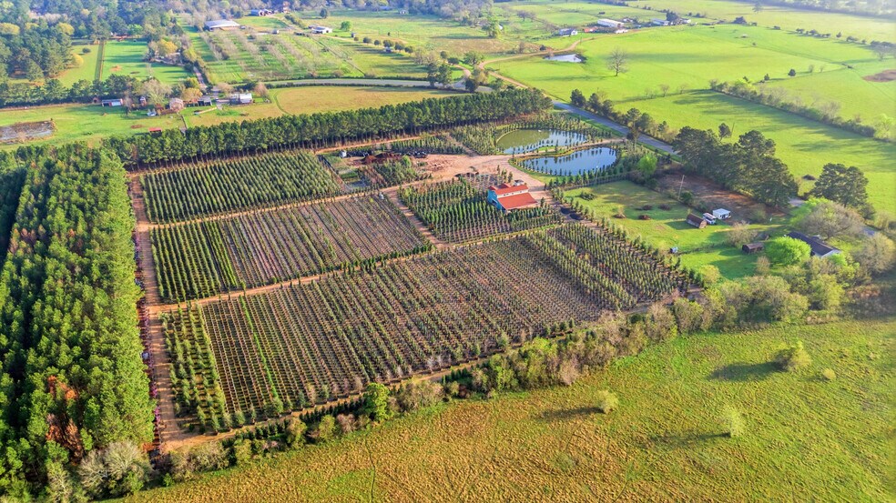 More Photos Of 28287 Hegar Rd, Hockley Land For Sale