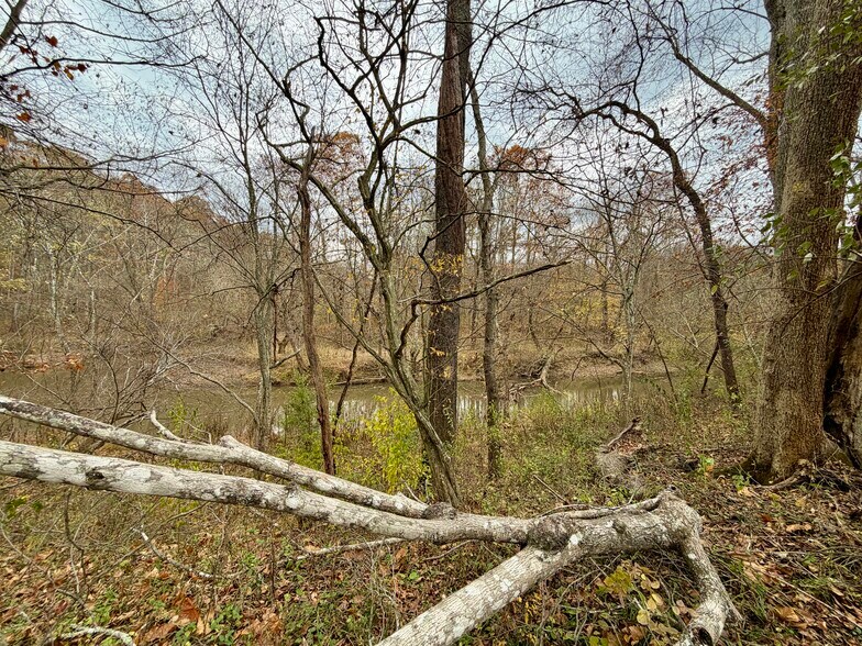 More Photos Of 23765 Charleston Rd, Leon Land For Sale