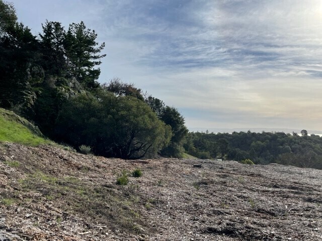 More Photos Of Redwod Rd @ Skyline Blvd, Oakland Land For Sale