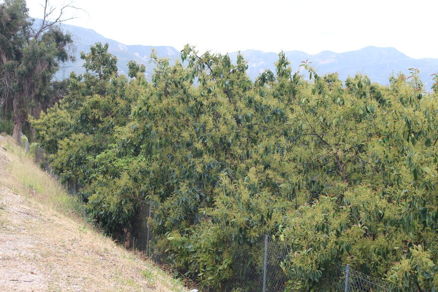 More Photos Of 0 Camulos St, Piru Land For Sale