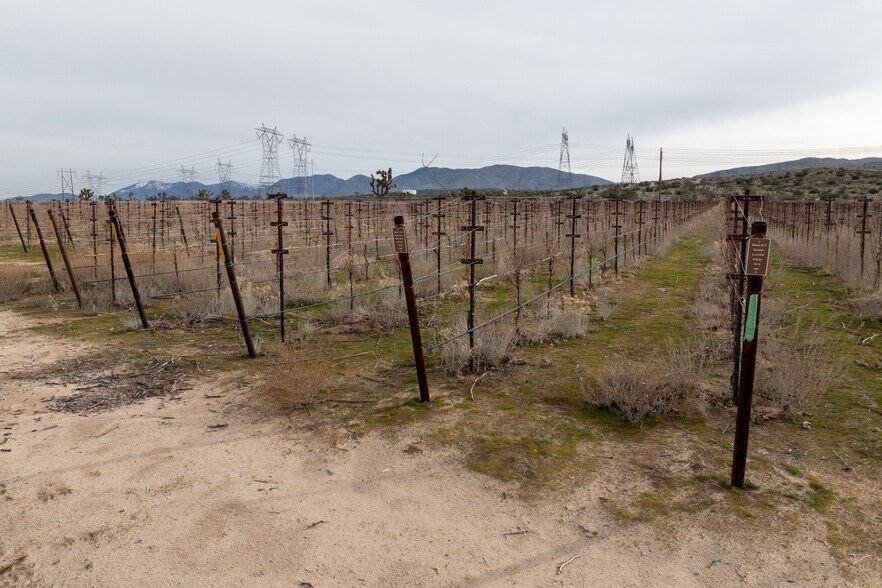 More Photos Of Fort Tejon Rd, Littlerock Land For Sale