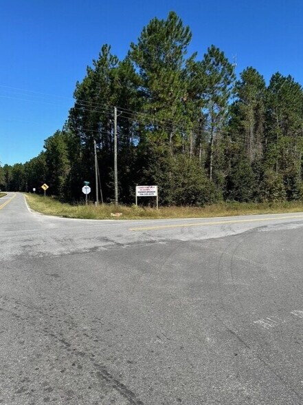 More Photos Of Arcola Road Rd @ GA HWY 46, Statesboro Land For Sale