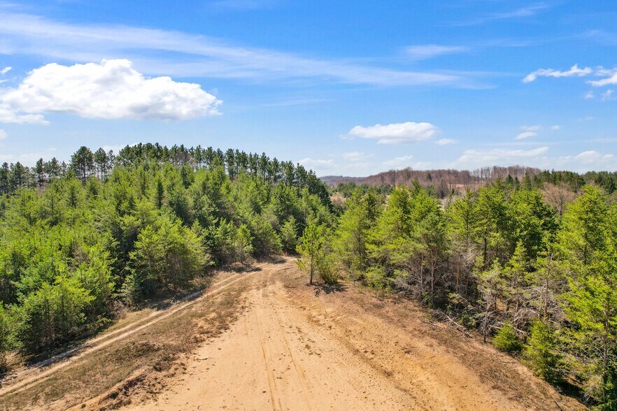 More Photos Of 9553 18 1/2 Rd, Manton Land For Sale