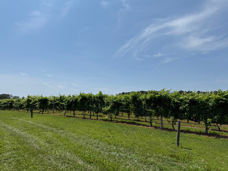 More Photos Of 221 N Delsea Dr, Cape May Court House Winery Vineyard For Sale