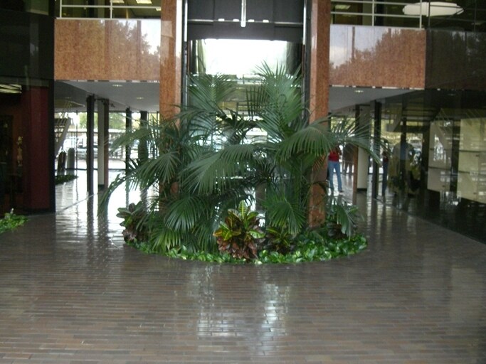 More Photos Of 12727 Featherwood Dr, Houston Medical For Sale