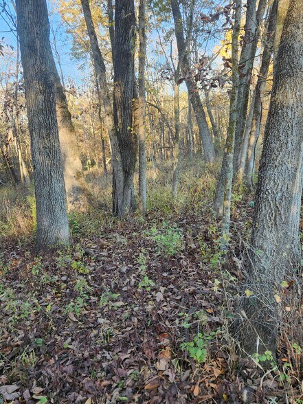 More Photos Of County Road 197 (5+/- Acres) Tract 3, Williamsburg Land For Sale