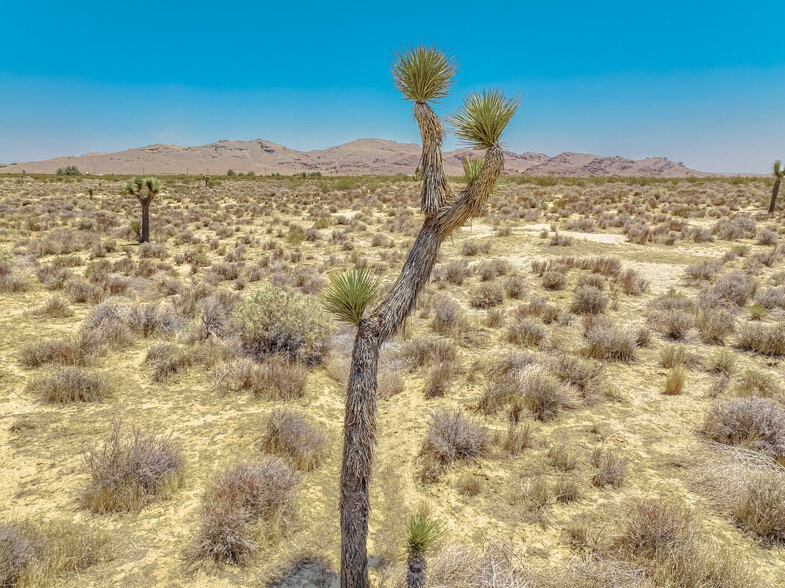 More Photos Of Favorito, Rosamond Land For Sale