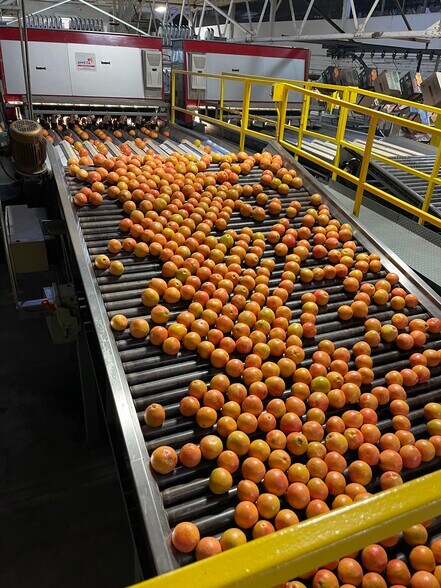 More Photos Of 2050 80 Foot Rd, Bartow Land For Sale