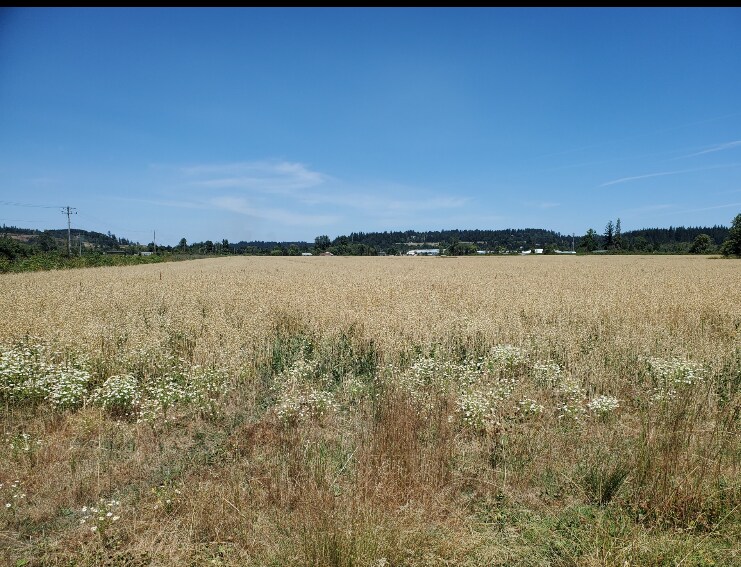 More Photos Of Wipper Rd, Salem Land For Sale