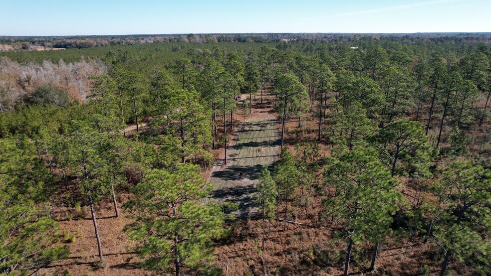 More Photos Of 17675 Cedar Springs Rd, Blakely Land For Sale