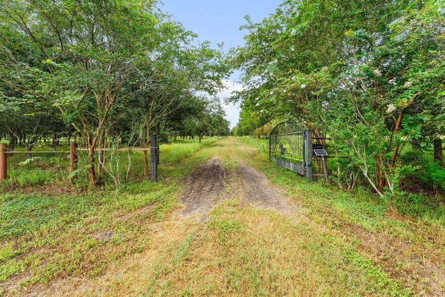 More Photos Of 23111 FM 1462 Rd, Damon Land For Sale