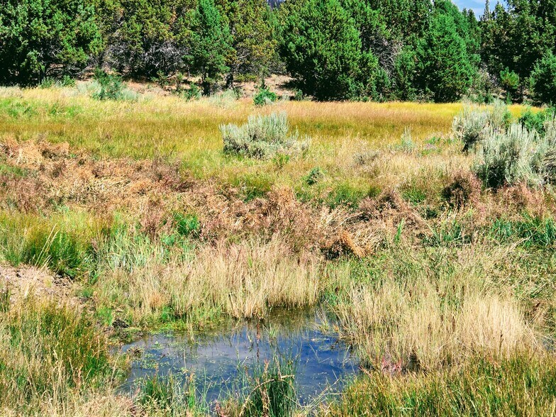 More Photos Of 32611 Tackman Rd, Prineville Land For Sale