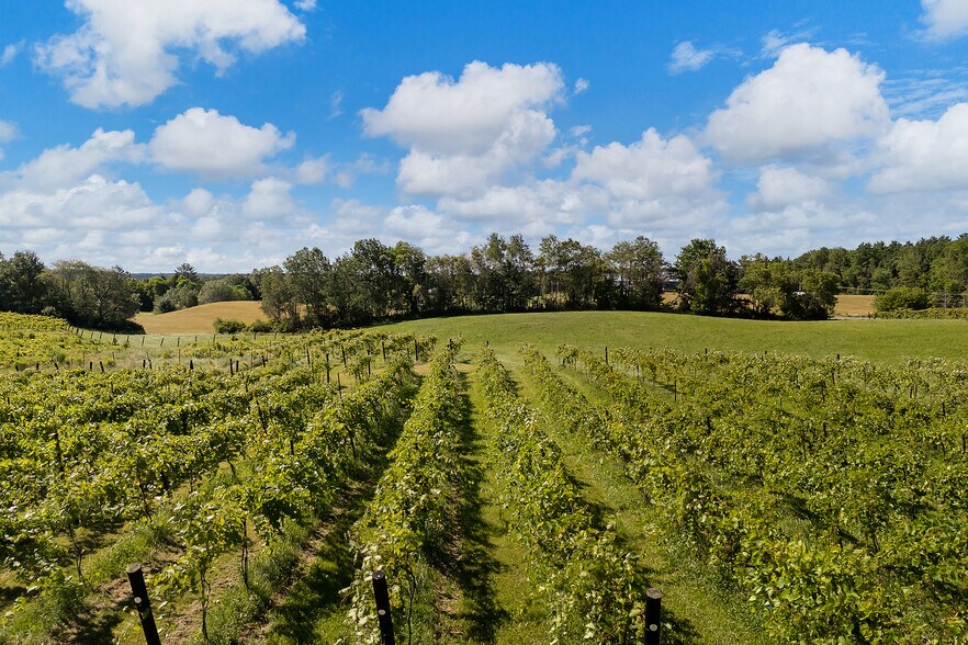 More Photos Of 10 Leeds Junction Rd, Leeds Winery Vineyard For Sale