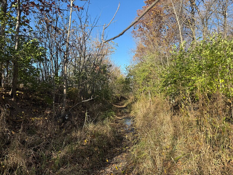 More Photos Of 4305 PLEASANT CENTER Rd, Yoder Land For Sale