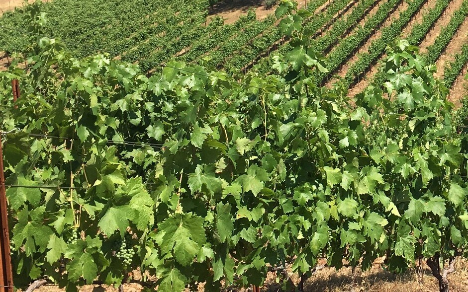 More Photos Of 7005 Mountain Ranch Rd, Mountain Ranch Land For Sale