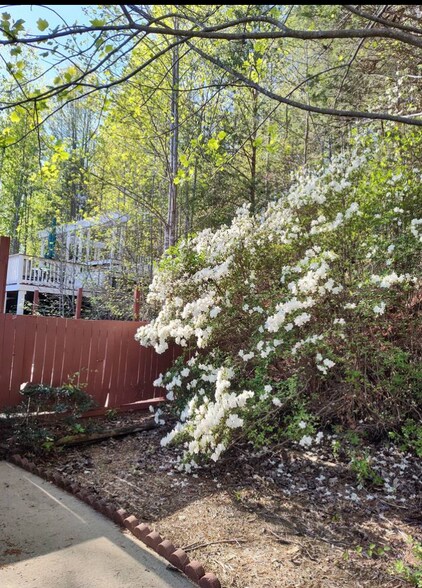 More Photos Of 84-86 Benson Rd, Travelers Rest Specialty For Sale