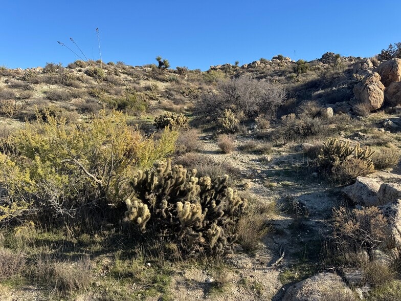 More Photos Of In-Ko-Pah Park Rd, Jacumba Land For Sale