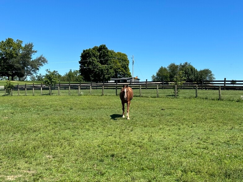 More Photos Of 3476 Fairview Rd, Lewisburg Specialty For Sale