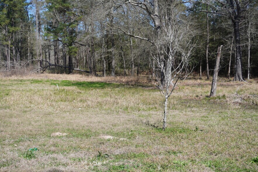 More Photos Of 000 Coon Hollow RD, Conroe Trailer Camper Park For Sale