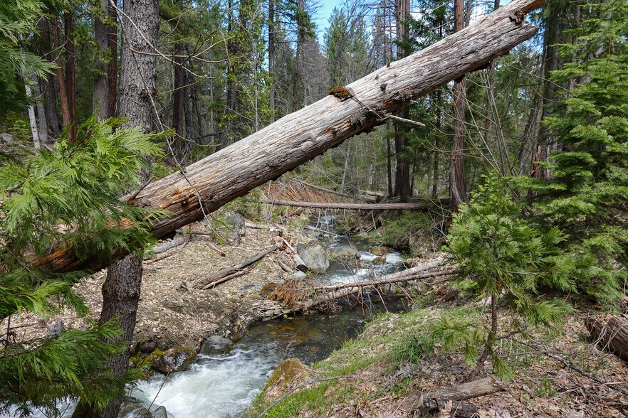 More Photos Of 9936 Sniktaw Ln, Fort Jones Land For Sale