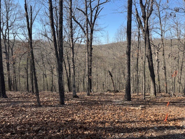 More Photos Of 190 Edgewater Dr, Eureka Springs Land For Sale