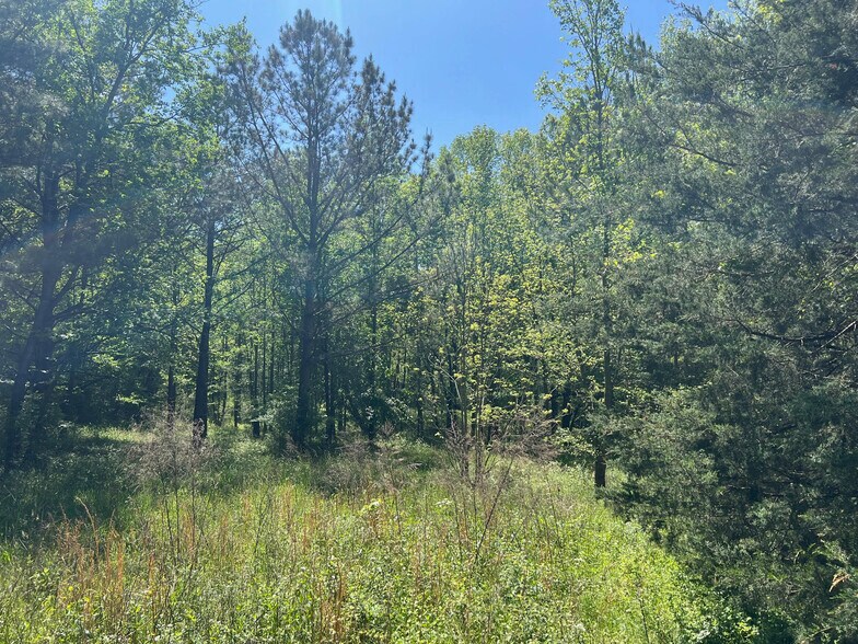 Primary Photo Of 0 Woodkraft rd, Madison Land For Sale