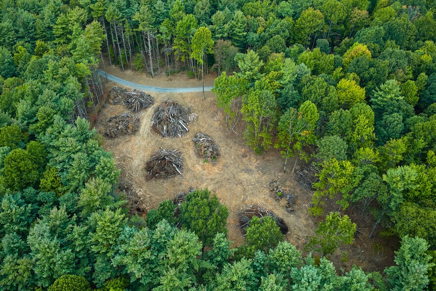 More Photos Of 243 Ridgeline Dr, Brevard Specialty For Sale