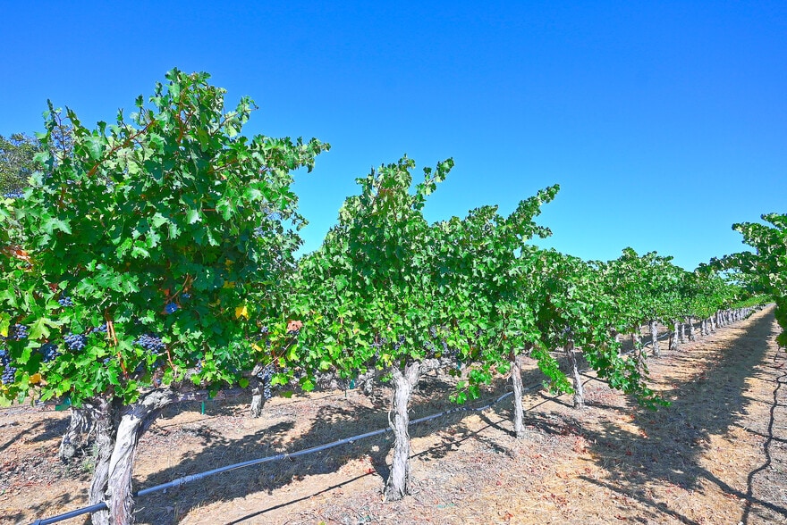 More Photos Of Arroyo Rd, Livermore Land For Sale