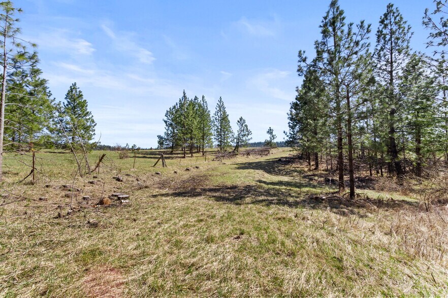 More Photos Of 15809 N Scribner Branch Rd, Spokane Land For Sale