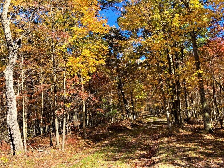 More Photos Of 2005 Grafton Rd, Morgantown Land For Sale