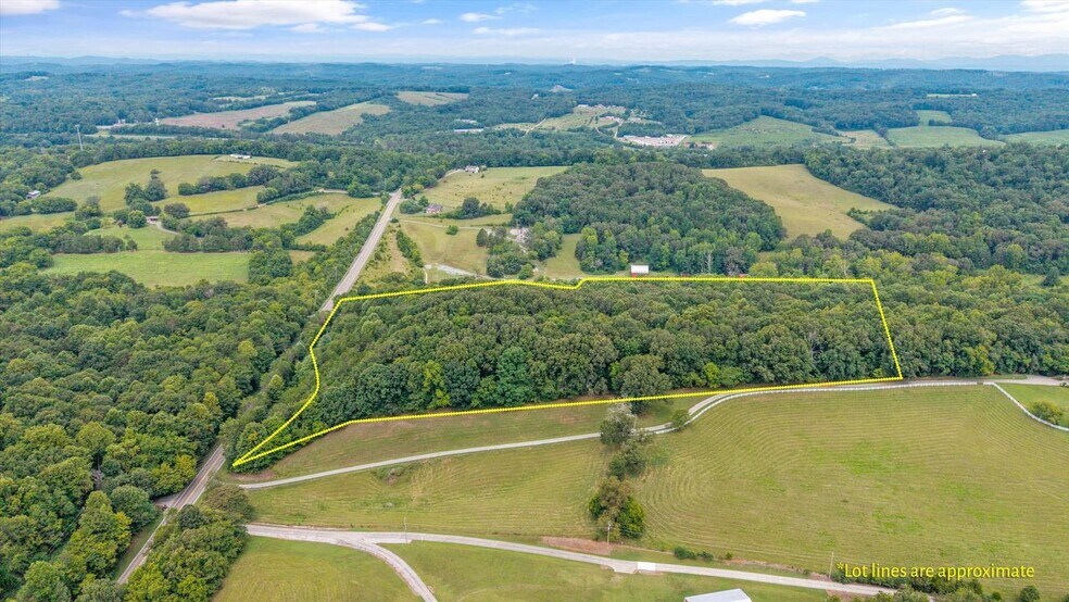 Primary Photo Of 00 Old Sugar Limb Rd, Loudon Land For Sale