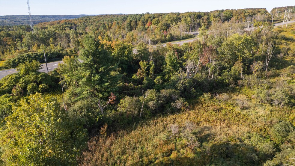 More Photos Of 219 Mudge rd, Delanson Land For Sale