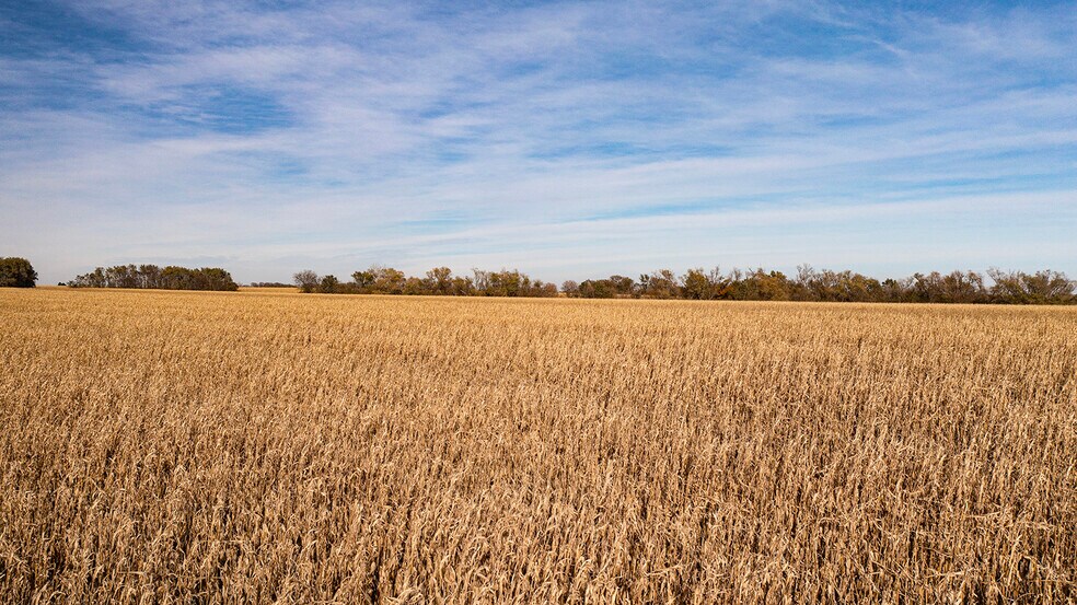More Photos Of Hwy 63, Eagle Land For Sale