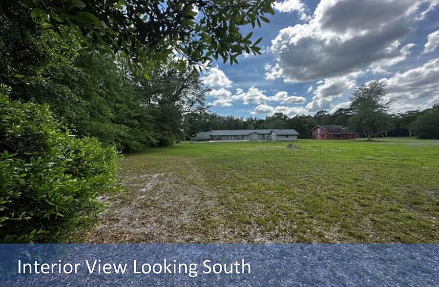 More Photos Of 2169 Pine Tree Ln, Middleburg Land For Sale