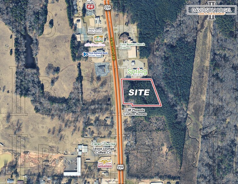 Primary Photo Of 1787 U.S. 259, Diana Land For Sale