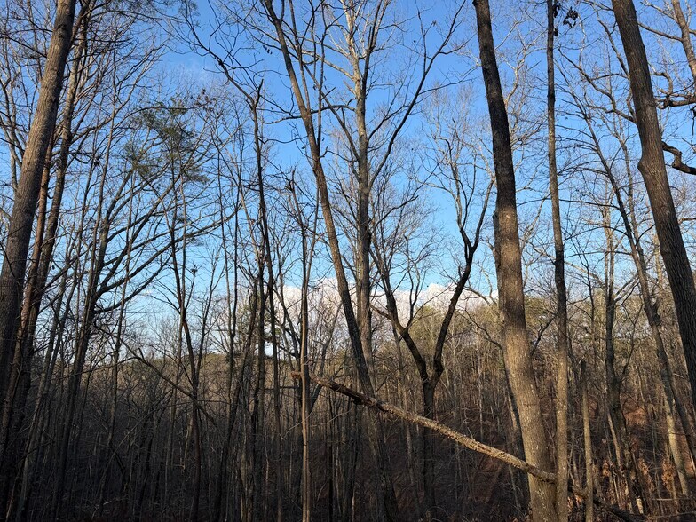 More Photos Of 260 Arnold Rd NE, Fairmount Land For Sale